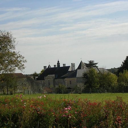 Chateau De La Noblaye Bed & Breakfast Lemere Luaran gambar