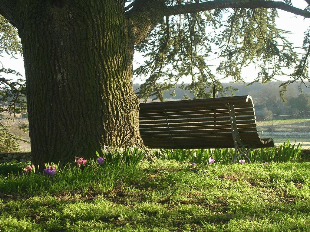 Chateau De La Noblaye Bed & Breakfast Lemere Luaran gambar