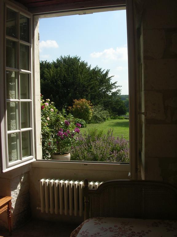 Chateau De La Noblaye Bed & Breakfast Lemere Luaran gambar