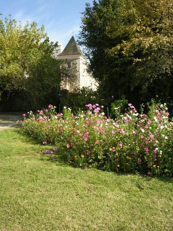 Chateau De La Noblaye Bed & Breakfast Lemere Luaran gambar